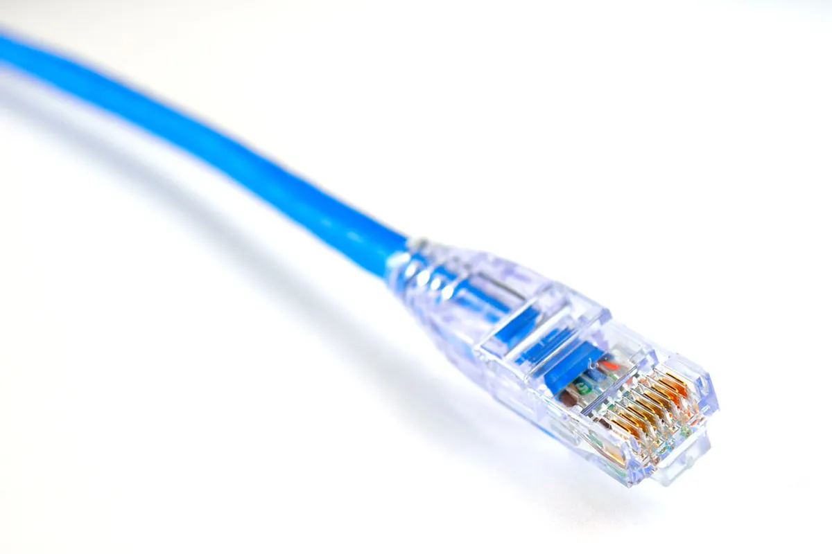 Wtyk RJ45 kabla sieciowego z bliska